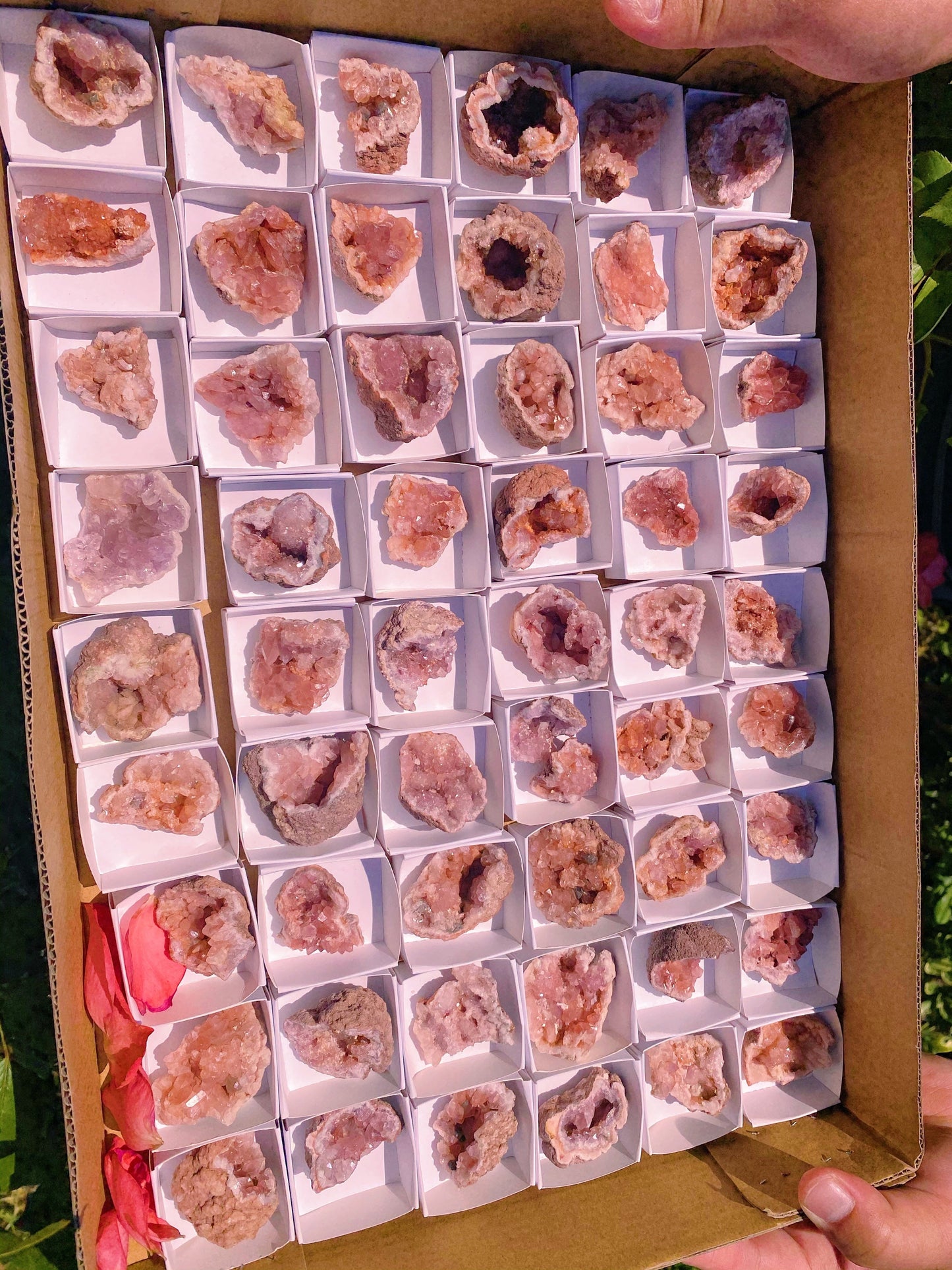 ------Pink Amethyst Geode--------------(Free shipping for this product)