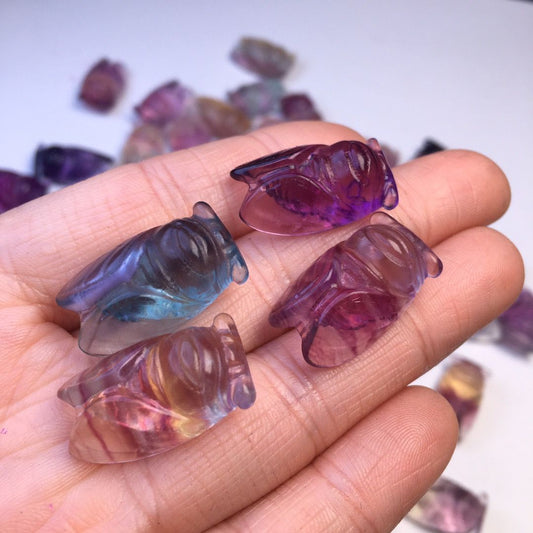 Fluorite cicada (free drilling)