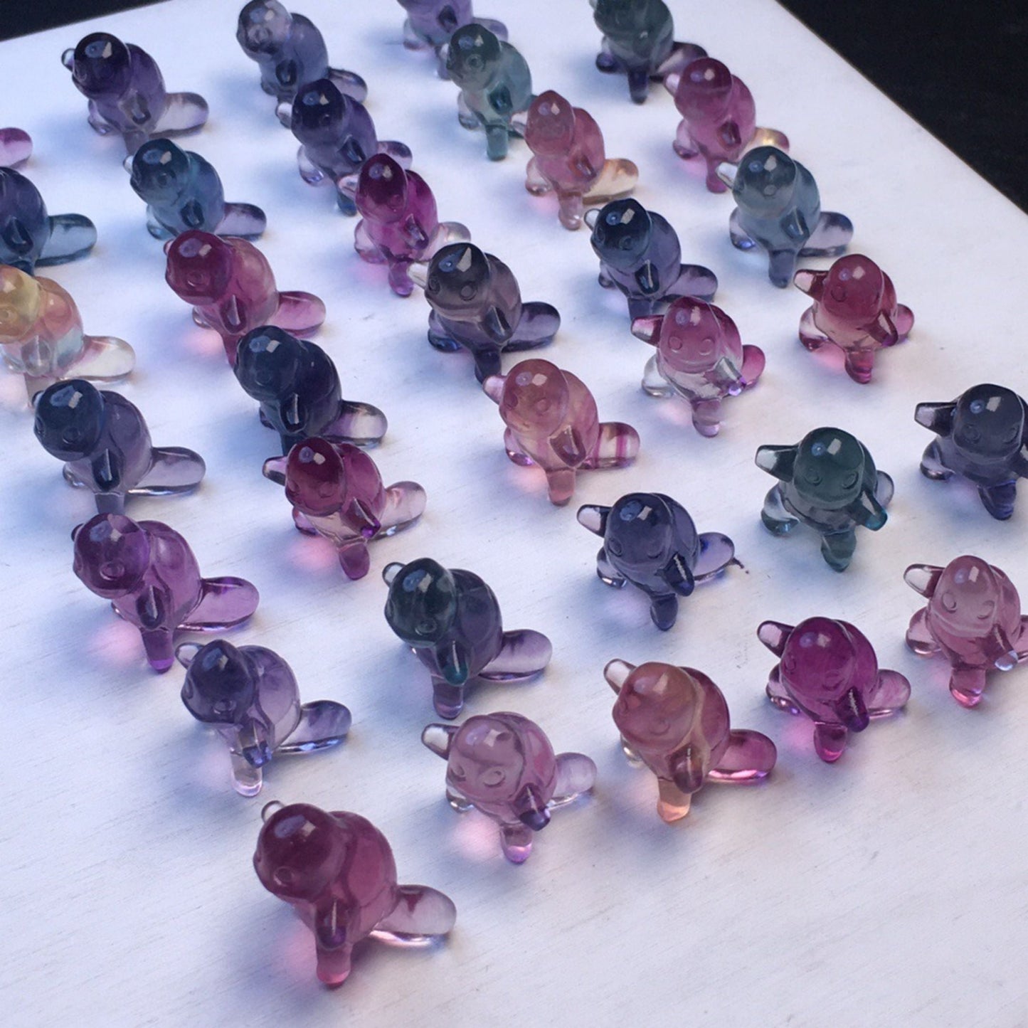 Fluorite Squirtle