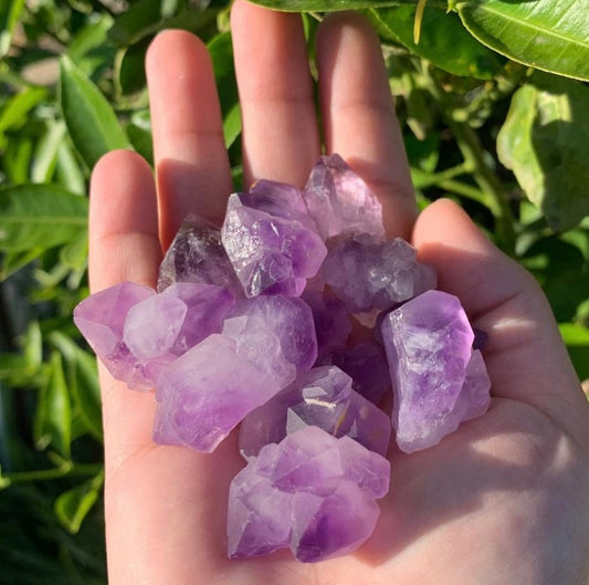 Natural Amethyst Quartz Petal Point