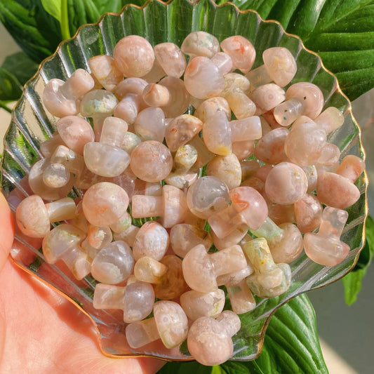 Natural Flower agate mushrooms