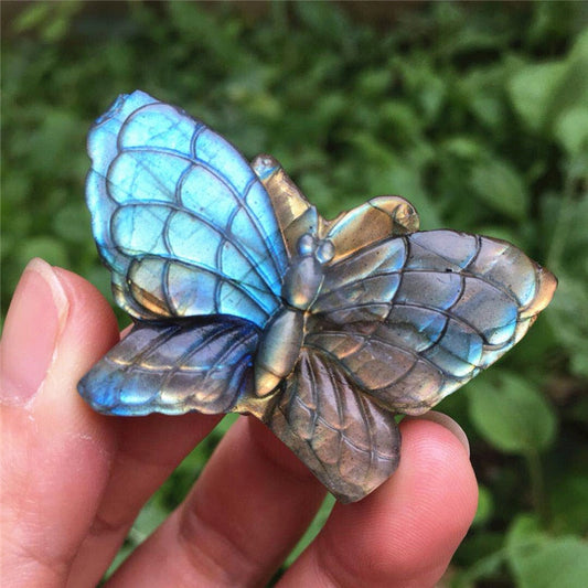 Natural blue labradorite hand crved polished butterflys